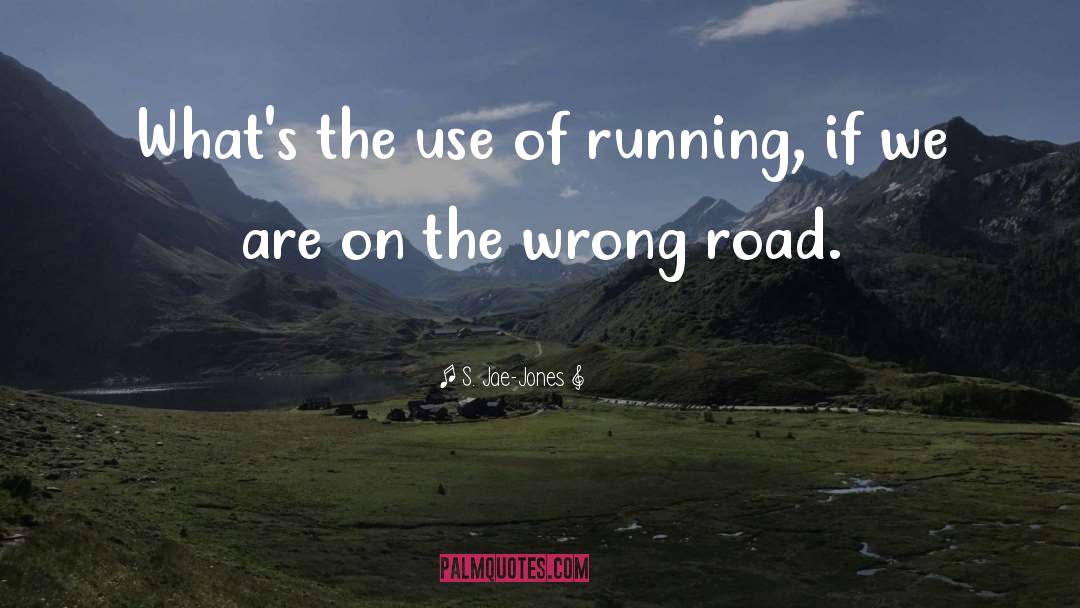 S. Jae-Jones Quotes: What's the use of running,