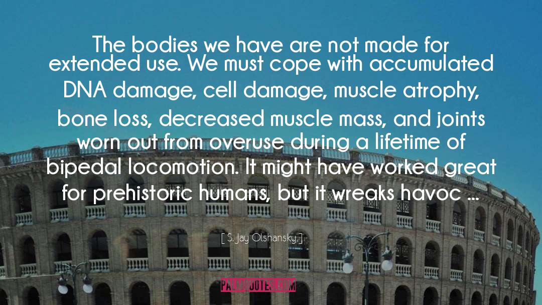 S. Jay Olshansky Quotes: The bodies we have are