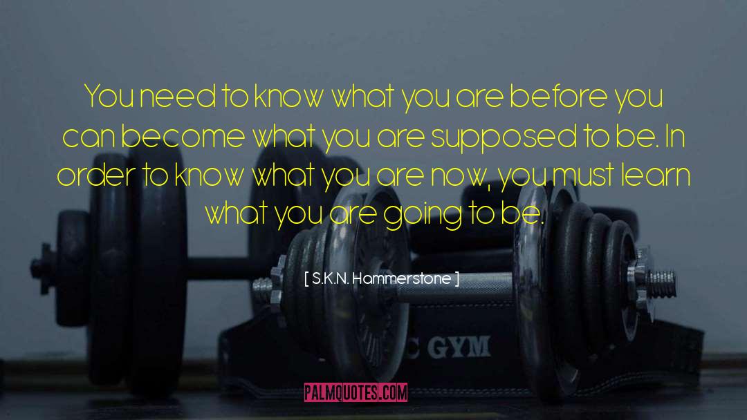 S.K.N. Hammerstone Quotes: You need to know what