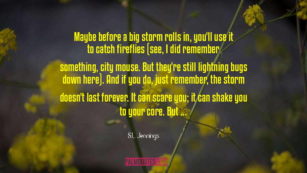 S.L. Jennings Quotes: Maybe before a big storm