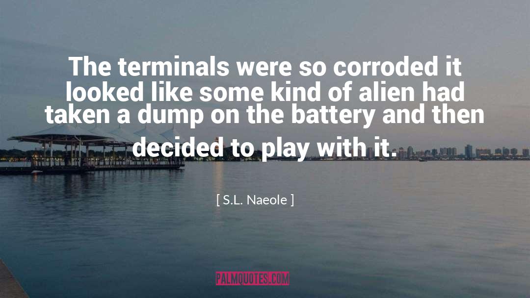 S.L. Naeole Quotes: The terminals were so corroded