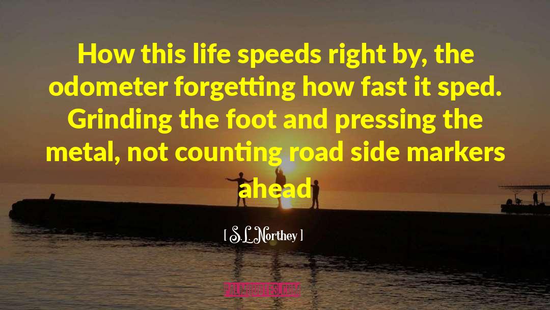 S.L. Northey Quotes: How this life speeds right