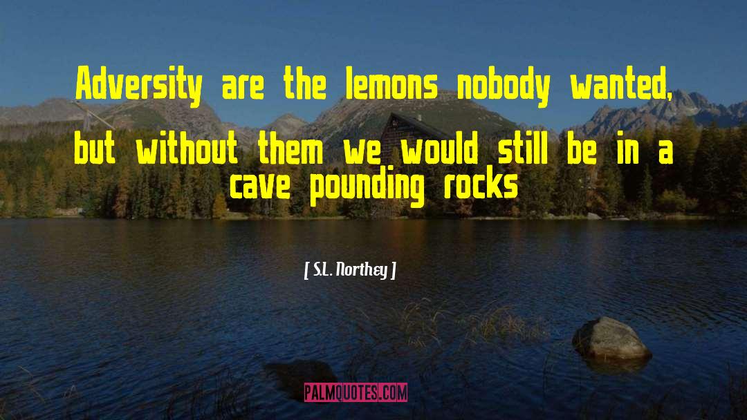 S.L. Northey Quotes: Adversity are the lemons nobody