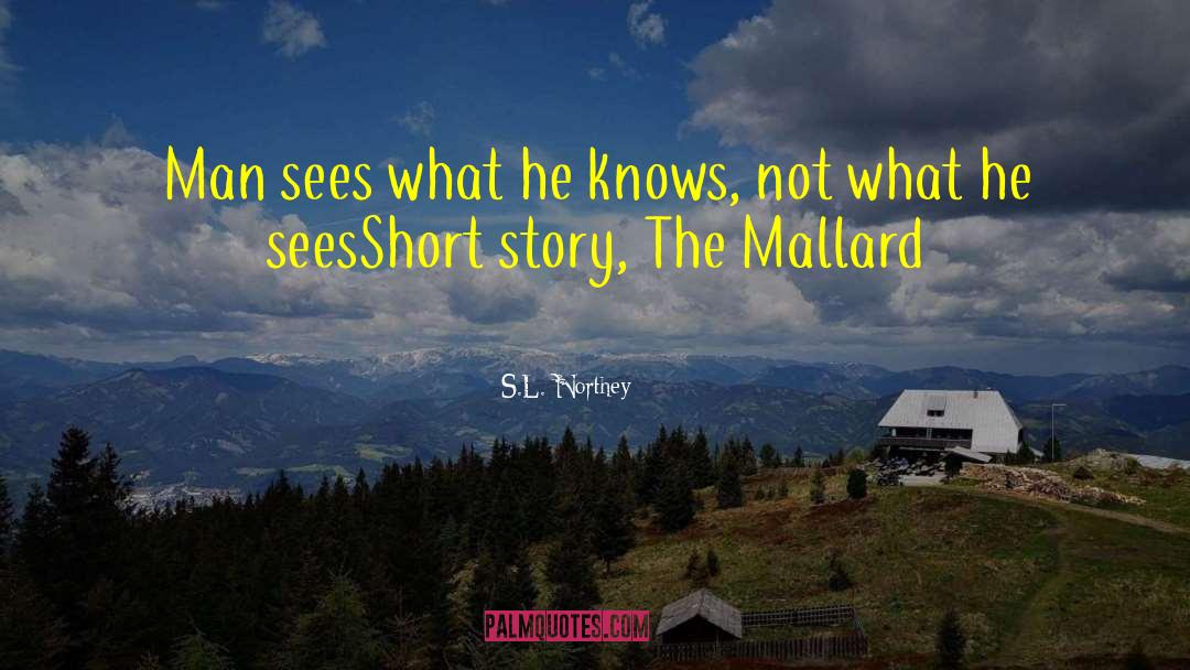 S.L. Northey Quotes: Man sees what he knows,