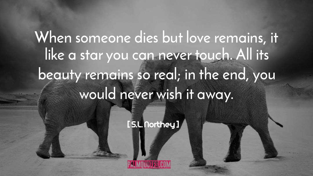 S.L. Northey Quotes: When someone dies but love