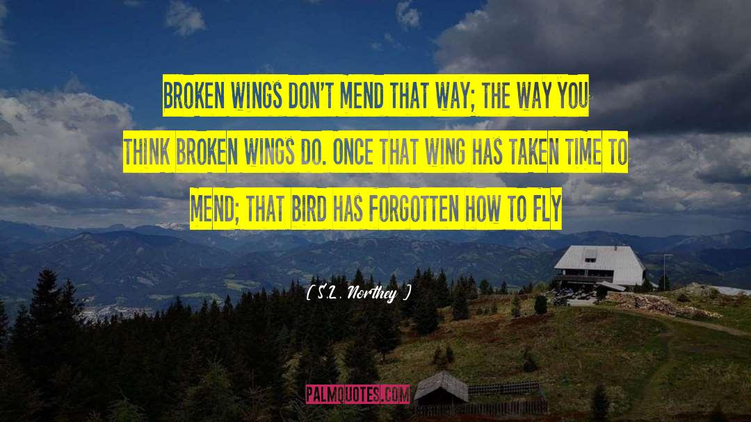 S.L. Northey Quotes: Broken wings don't mend that