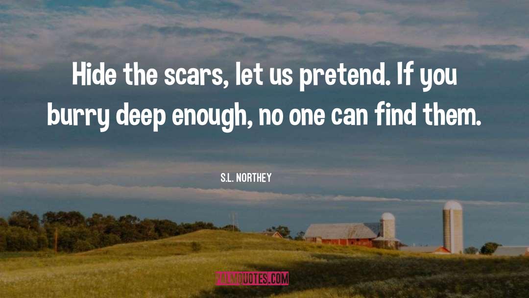 S.L. Northey Quotes: Hide the scars, let us