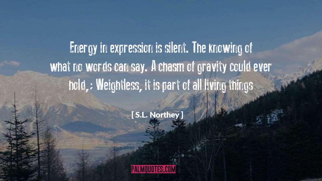 S.L. Northey Quotes: Energy in expression is silent.