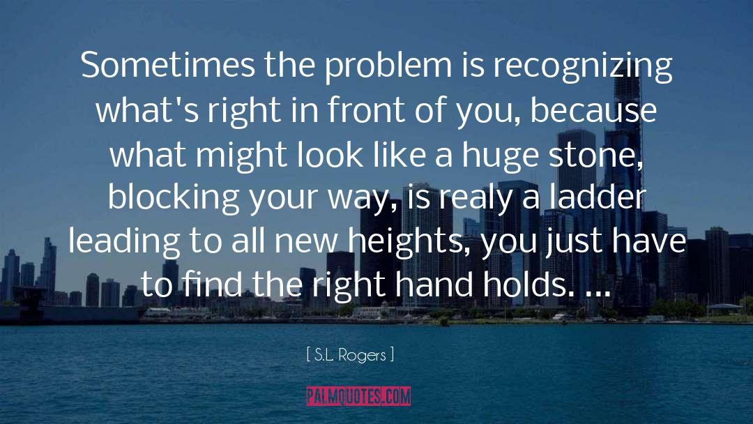 S.L. Rogers Quotes: Sometimes the problem is recognizing