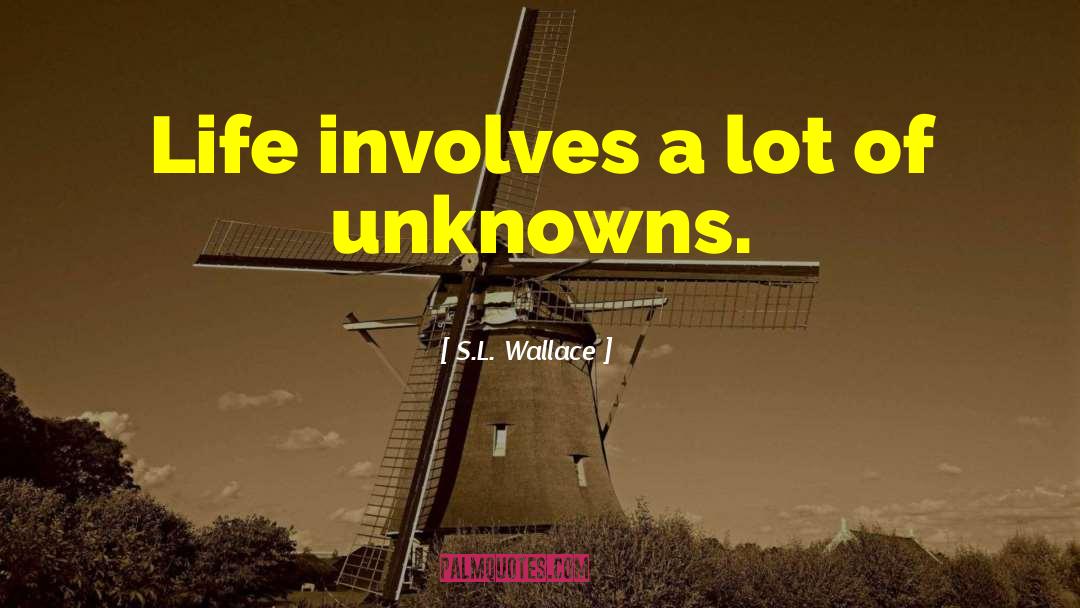 S.L. Wallace Quotes: Life involves a lot of