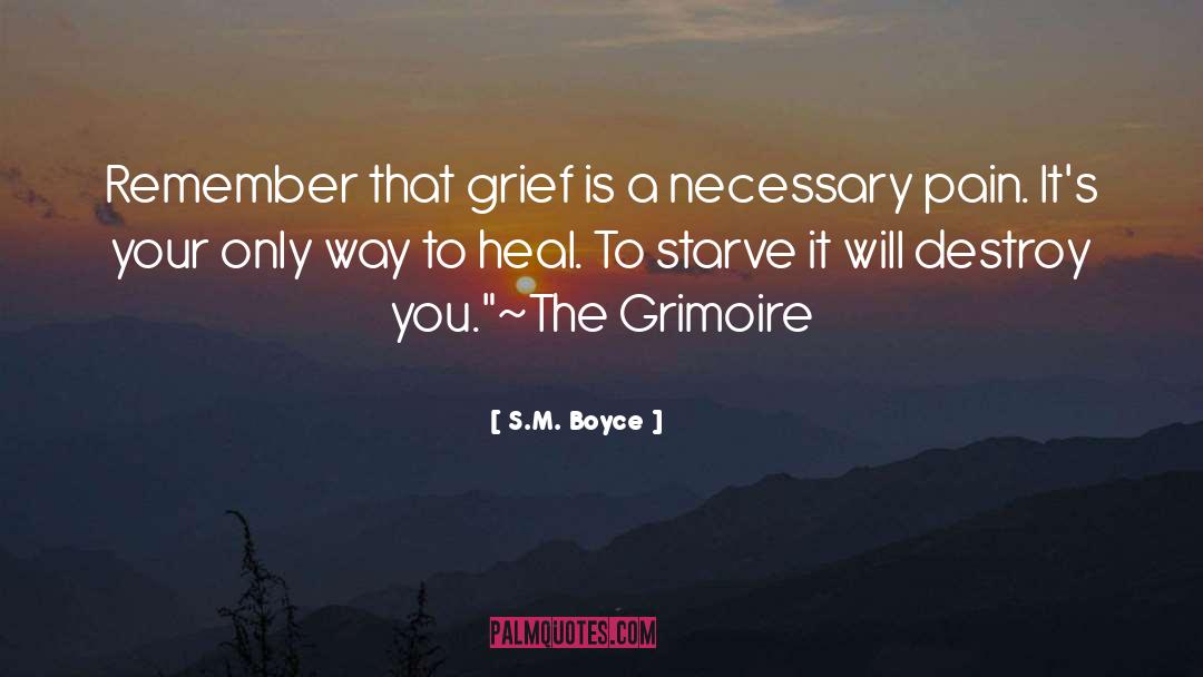 S.M. Boyce Quotes: Remember that grief is a