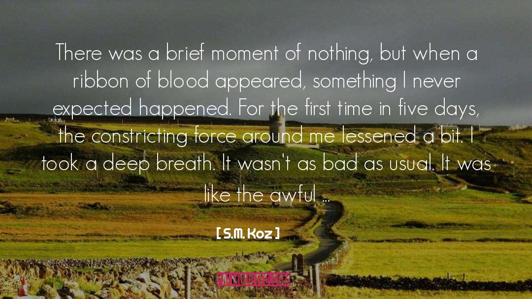 S.M. Koz Quotes: There was a brief moment