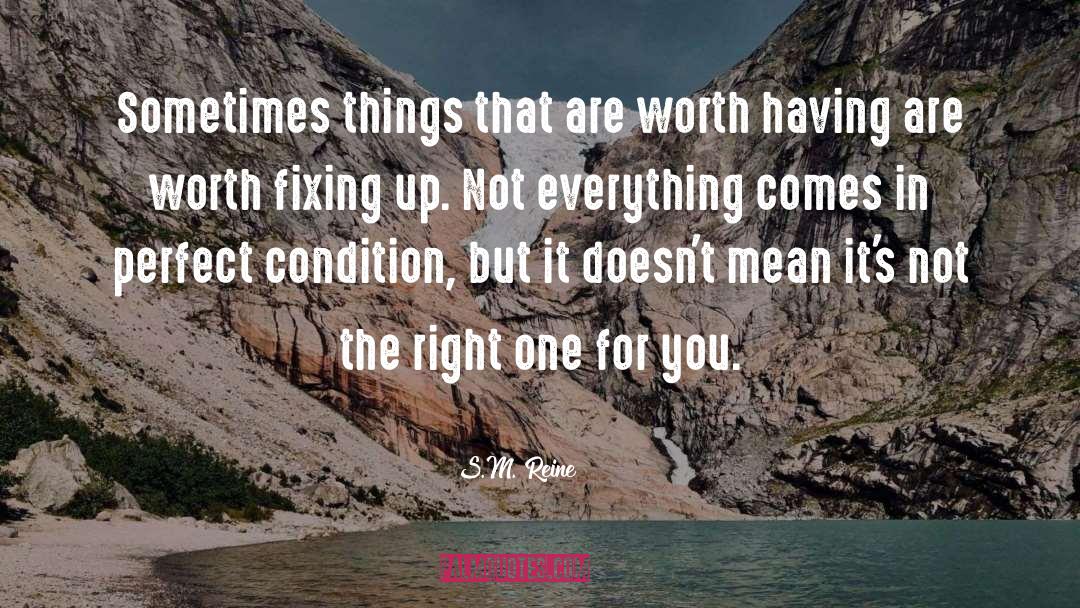 S.M. Reine Quotes: Sometimes things that are worth