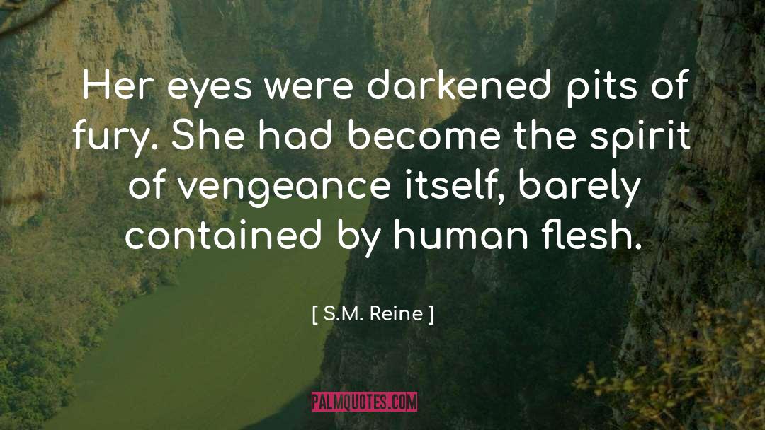 S.M. Reine Quotes: Her eyes were darkened pits