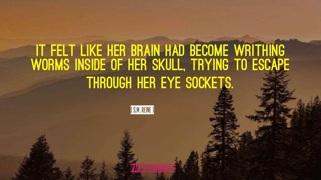 S.M. Reine Quotes: It felt like her brain