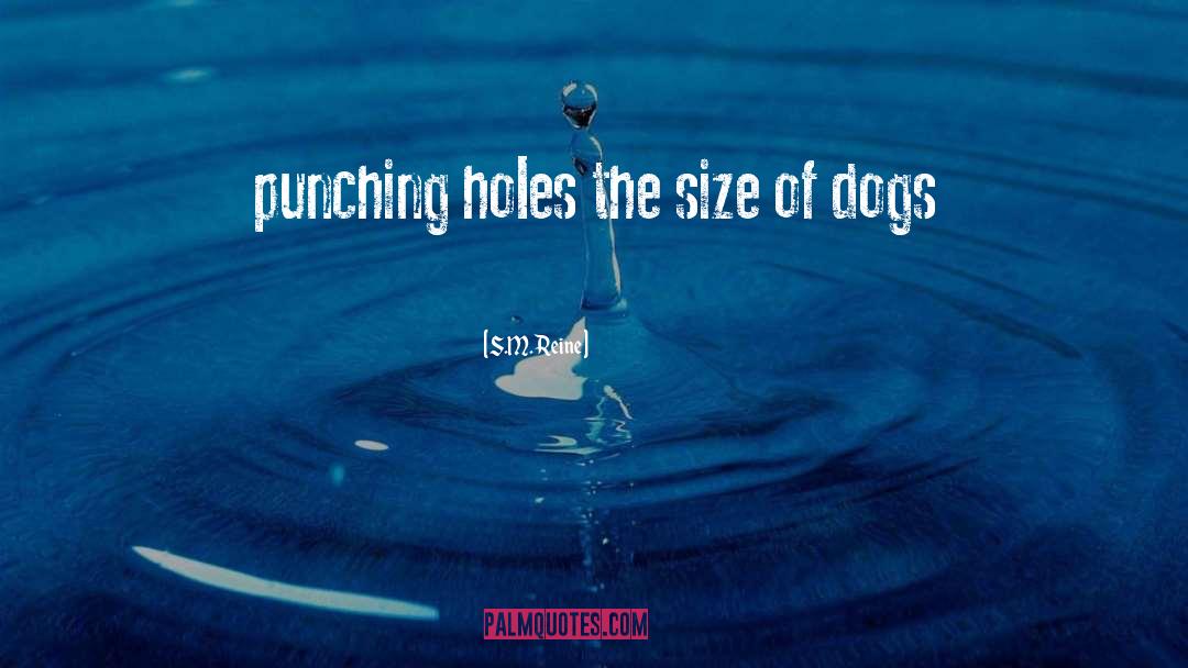 S.M. Reine Quotes: punching holes the size of