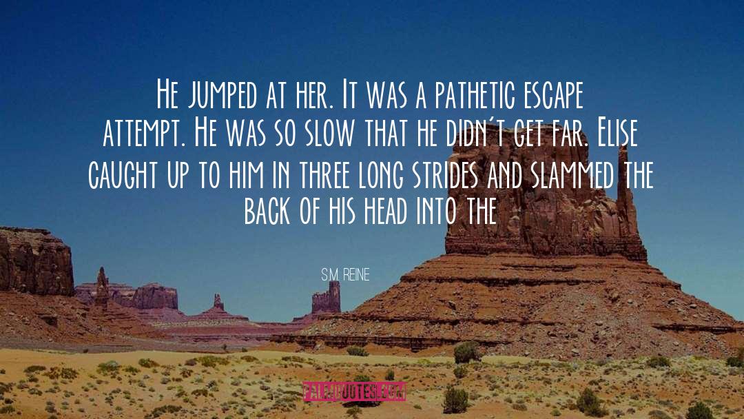 S.M. Reine Quotes: He jumped at her. It