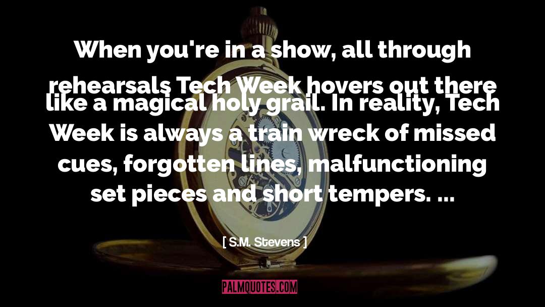 S.M. Stevens Quotes: When you're in a show,