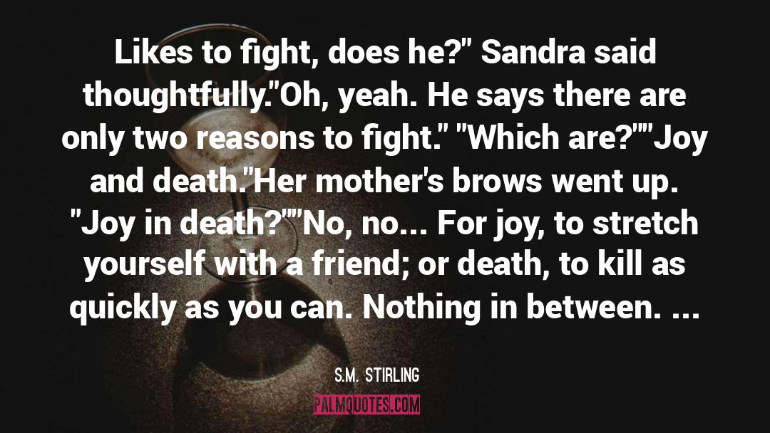 S.M. Stirling Quotes: Likes to fight, does he?