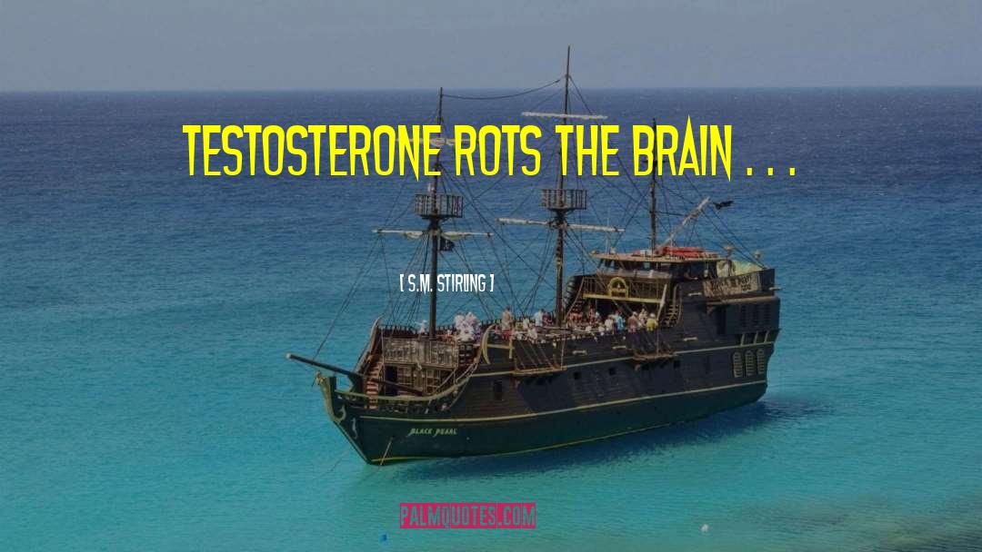 S.M. Stirling Quotes: Testosterone rots the brain .