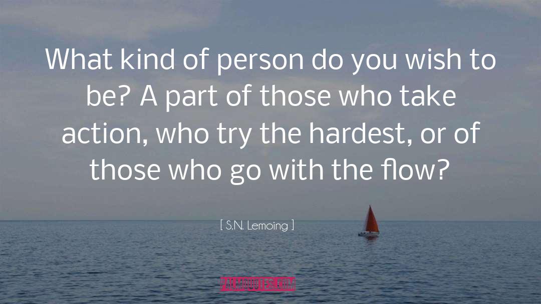 S.N. Lemoing Quotes: What kind of person do