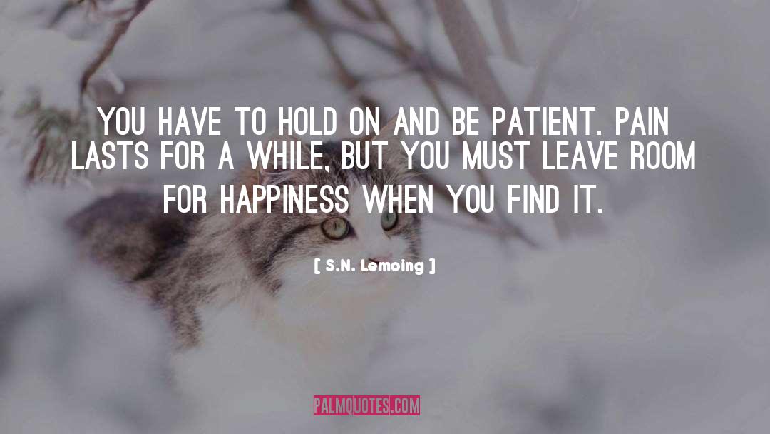 S.N. Lemoing Quotes: You have to hold on