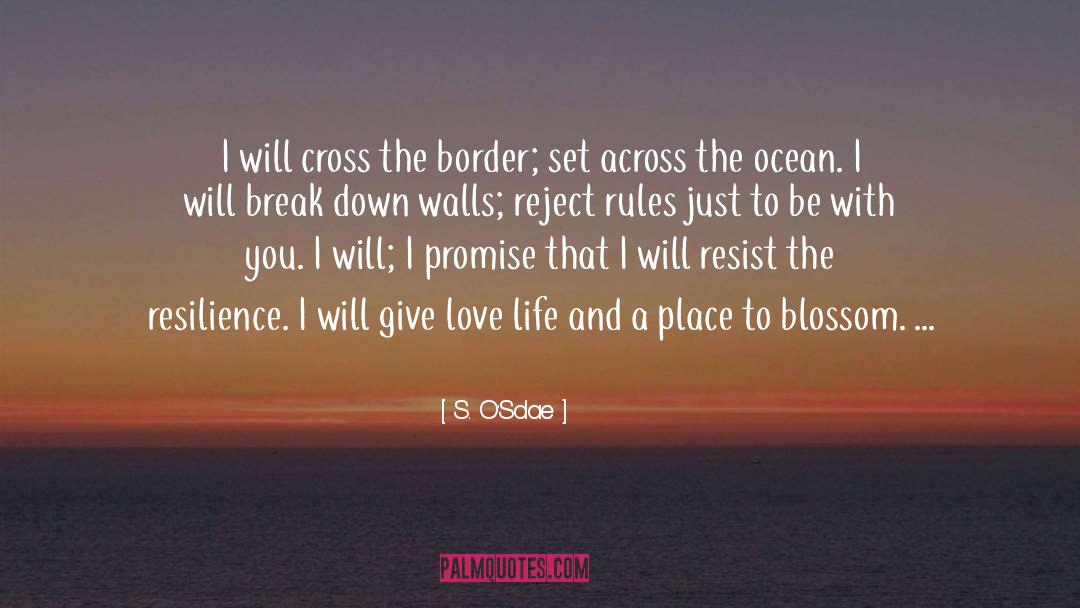 S. O'Sdae Quotes: I will cross the border;