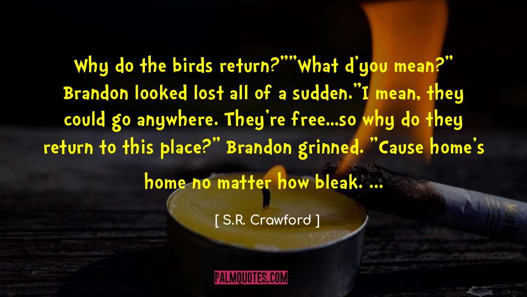 S.R. Crawford Quotes: Why do the birds return?