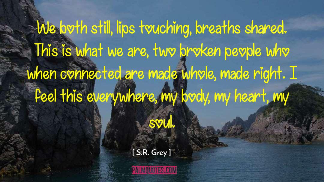 S.R. Grey Quotes: We both still, lips touching,