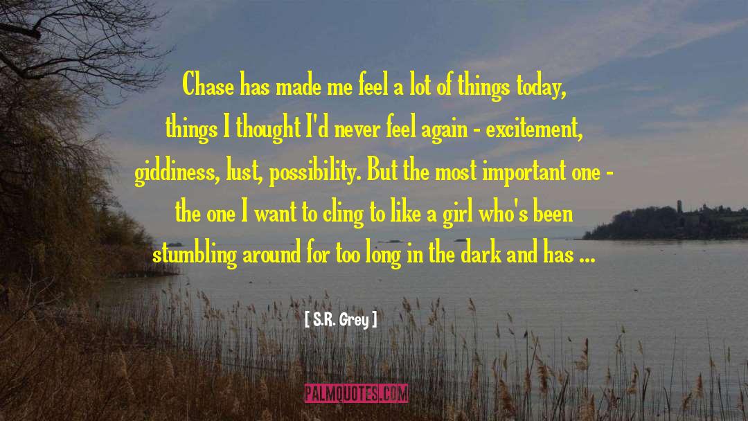 S.R. Grey Quotes: Chase has made me feel