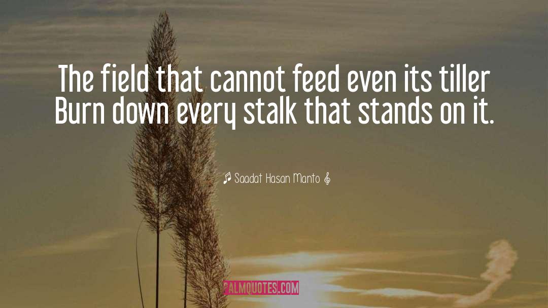 Saadat Hasan Manto Quotes: The field that cannot feed