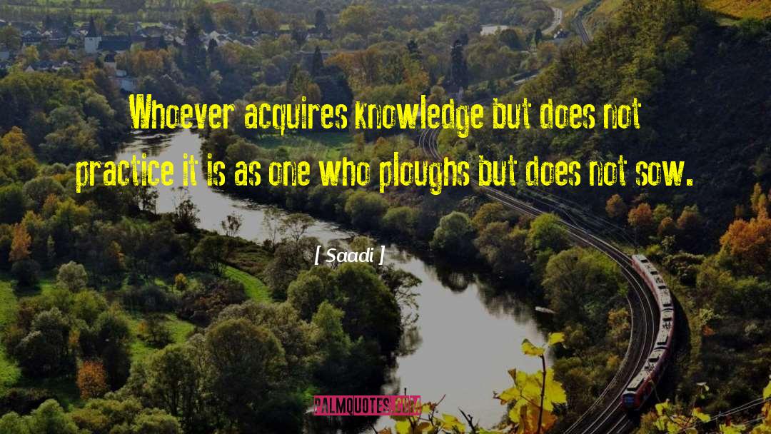 Saadi Quotes: Whoever acquires knowledge but does