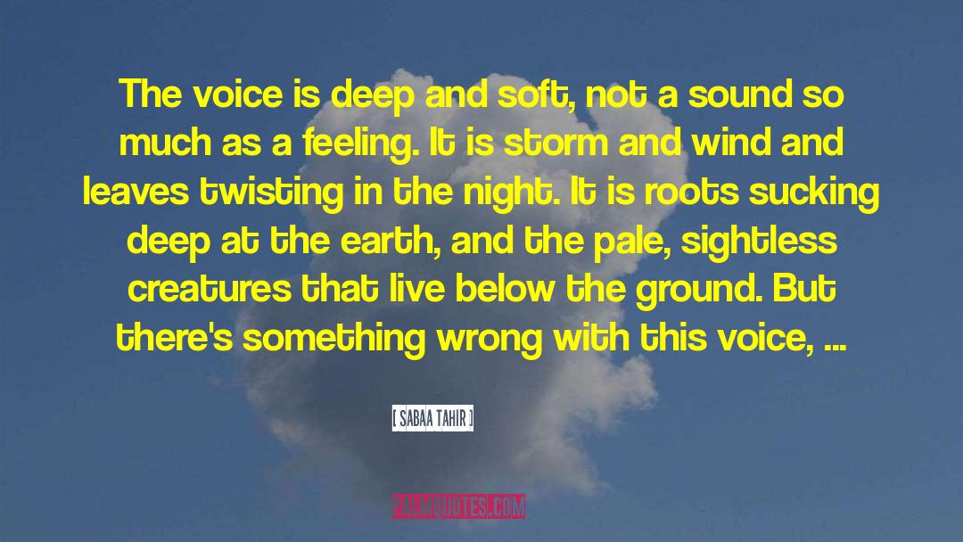 Sabaa Tahir Quotes: The voice is deep and