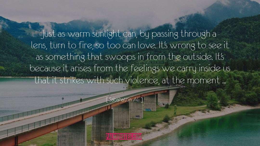 Sabahattin Ali Quotes: Just as warm sunlight can,