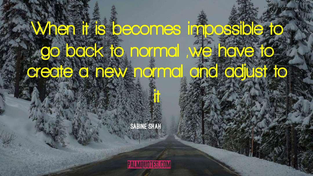 Sabine Shah Quotes: When it is becomes impossible