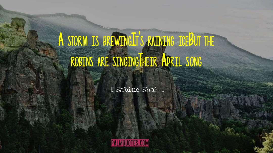Sabine Shah Quotes: A storm is brewing<br />It's