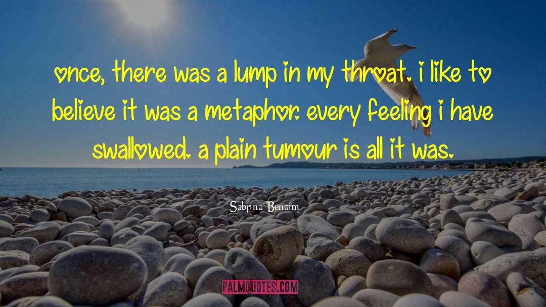 Sabrina Benaim Quotes: once, there was a lump