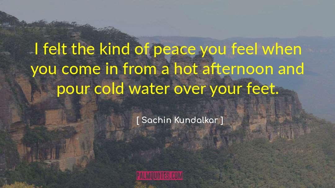 Sachin Kundalkar Quotes: I felt the kind of