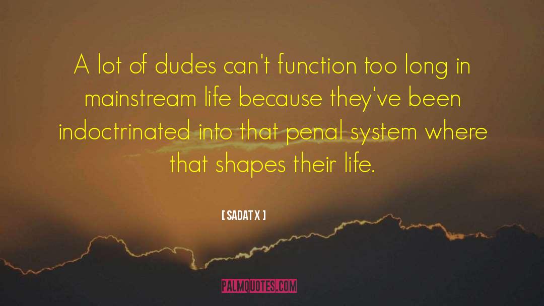 Sadat X Quotes: A lot of dudes can't