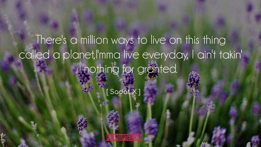Sadat X Quotes: There's a million ways to
