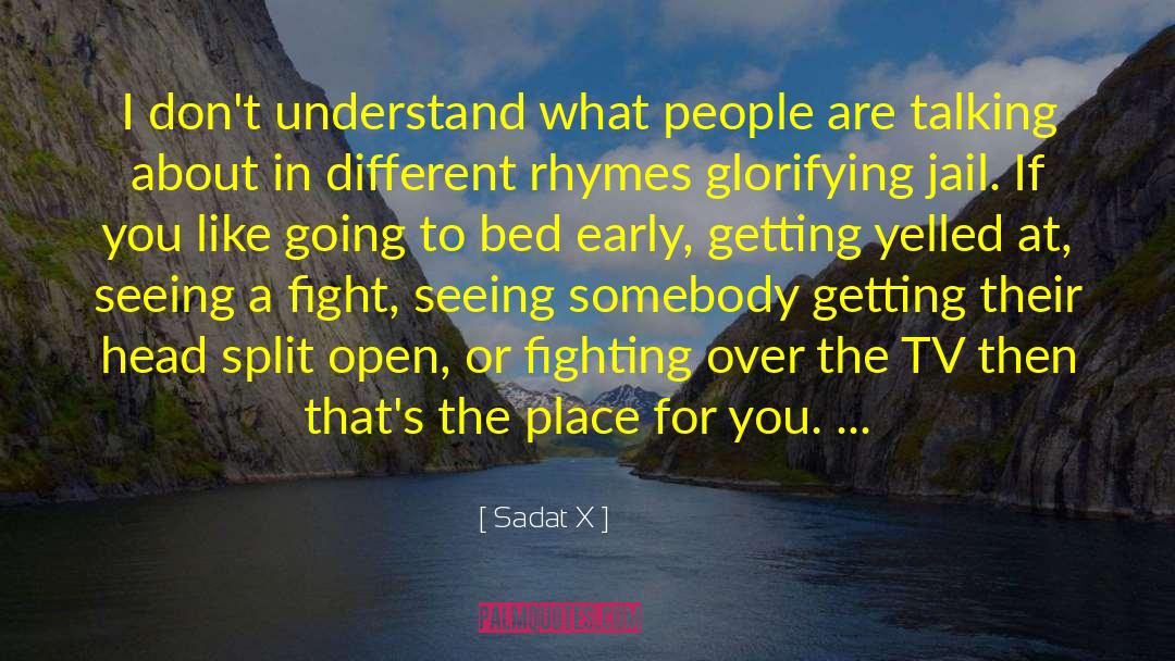Sadat X Quotes: I don't understand what people