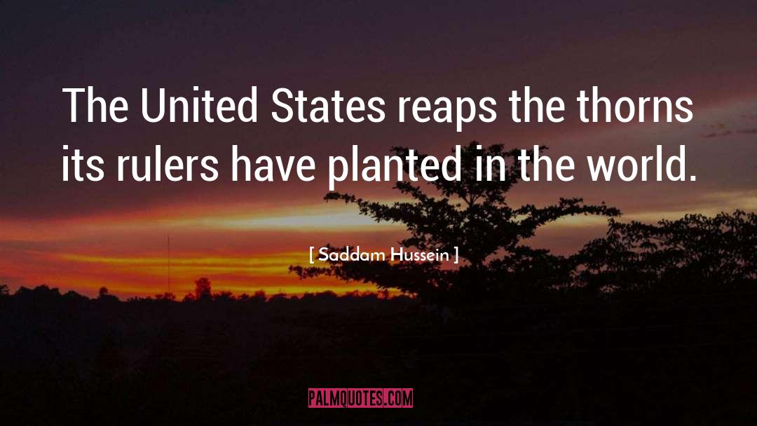 Saddam Hussein Quotes: The United States reaps the
