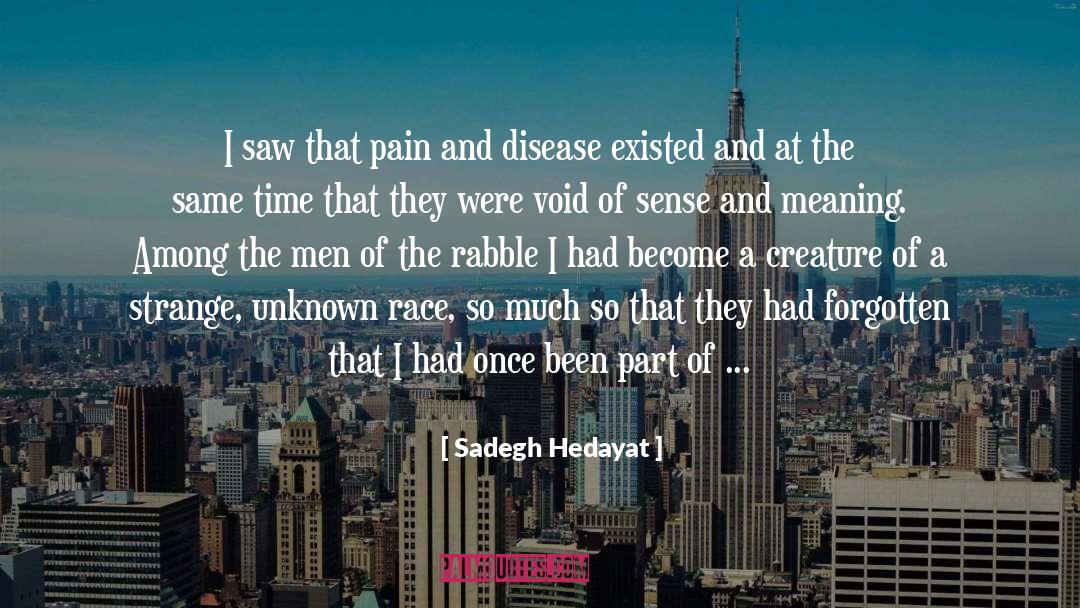 Sadegh Hedayat Quotes: I saw that pain and