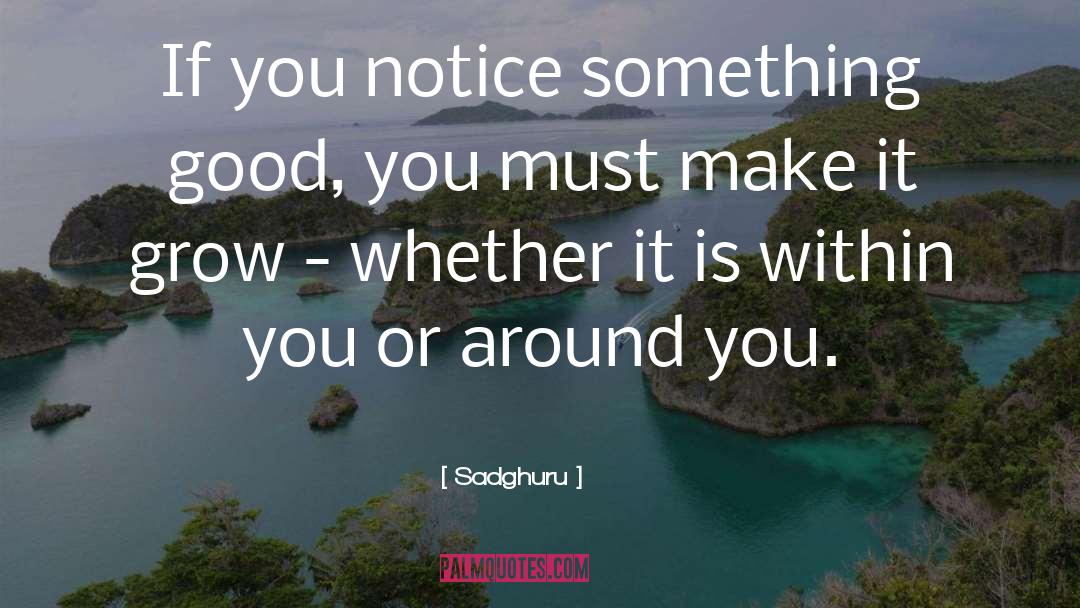 Sadghuru Quotes: If you notice something good,