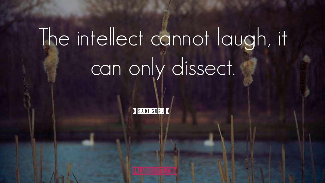 Sadhguru Quotes: The intellect cannot laugh, it