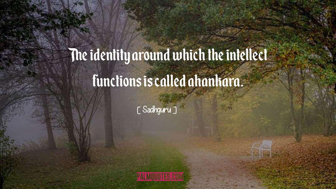 Sadhguru Quotes: The identity around which the