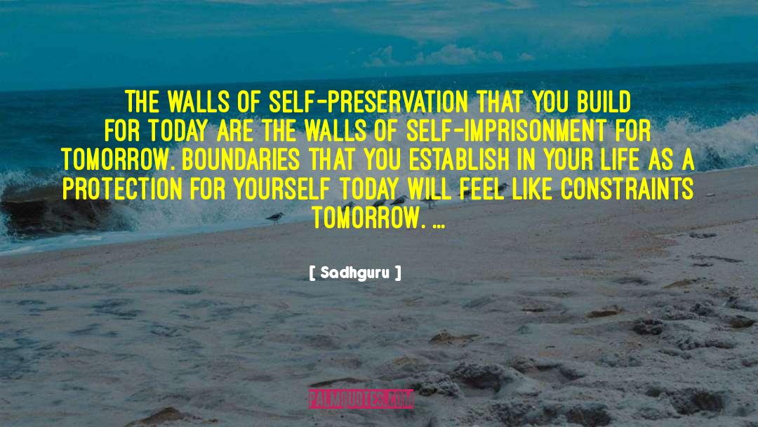 Sadhguru Quotes: The walls of self-preservation that