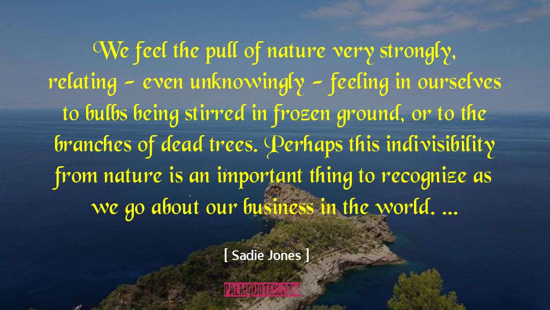 Sadie Jones Quotes: We feel the pull of