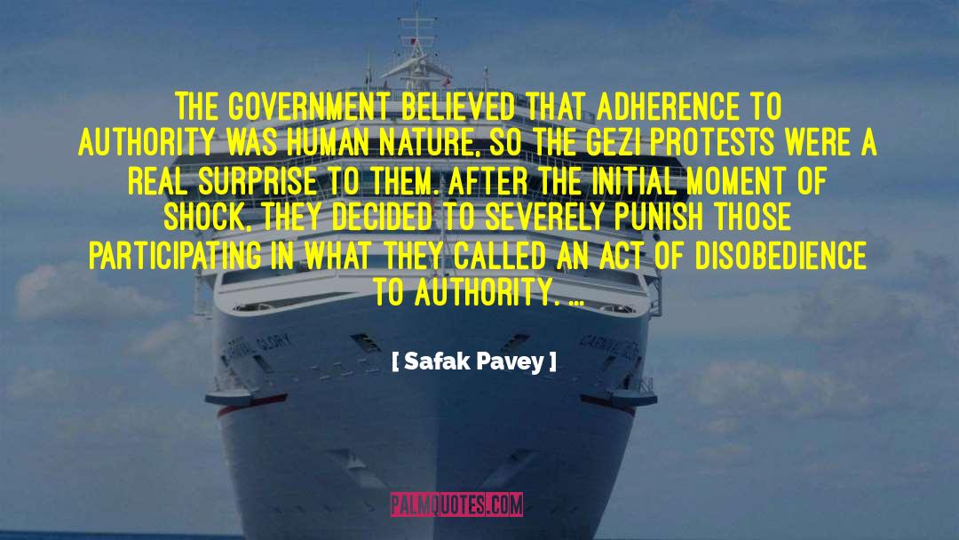 Safak Pavey Quotes: The government believed that adherence