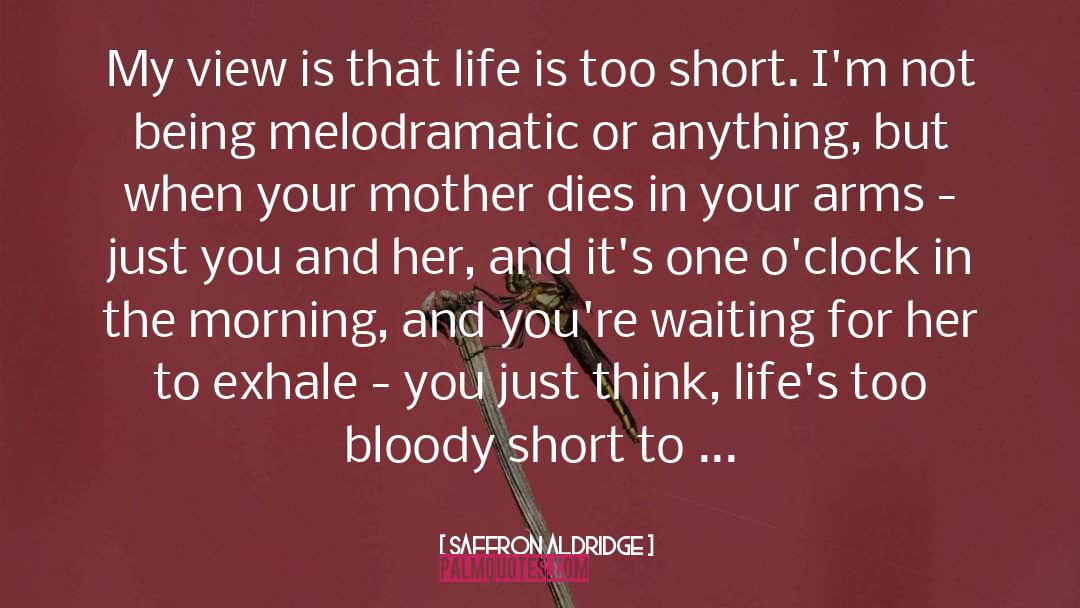Saffron Aldridge Quotes: My view is that life